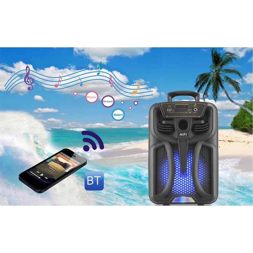 Soundbox 8" - LED-Licht und Mikrofon