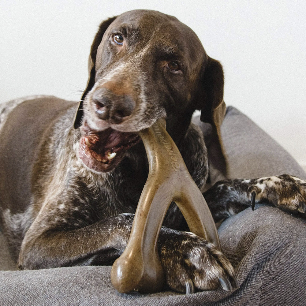 Hundekauknochen mit Bacon- und Hähnchengeschmack