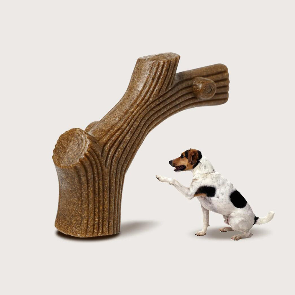 Hundekauknochen mit Rindfleischgeschmack – robust und zahnreinigend
