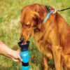 Aqua Dog Trinkflasche für Hunde