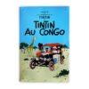 Metallschild - TinTin Au Kongo